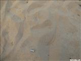 Playa la Pared - LUQUILLO